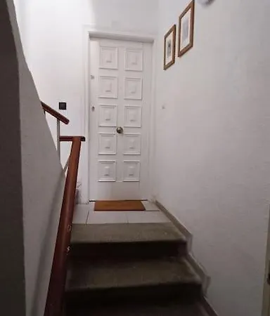 Boutique Ave Centro Lleida